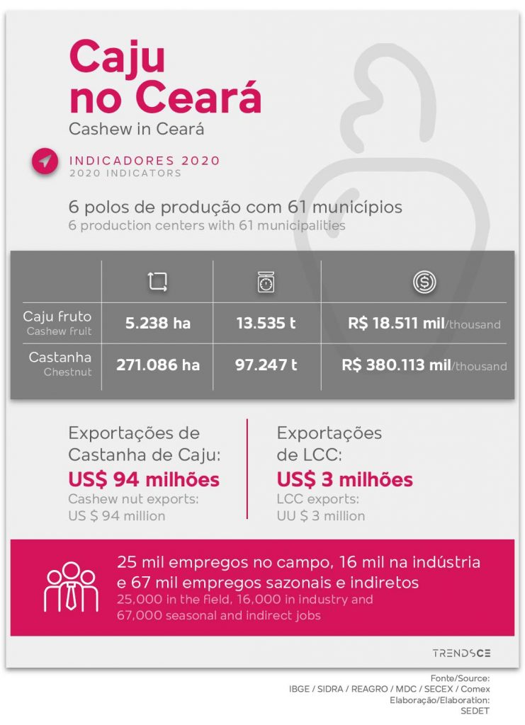 Indicadores do Caju no Ceará em 2020