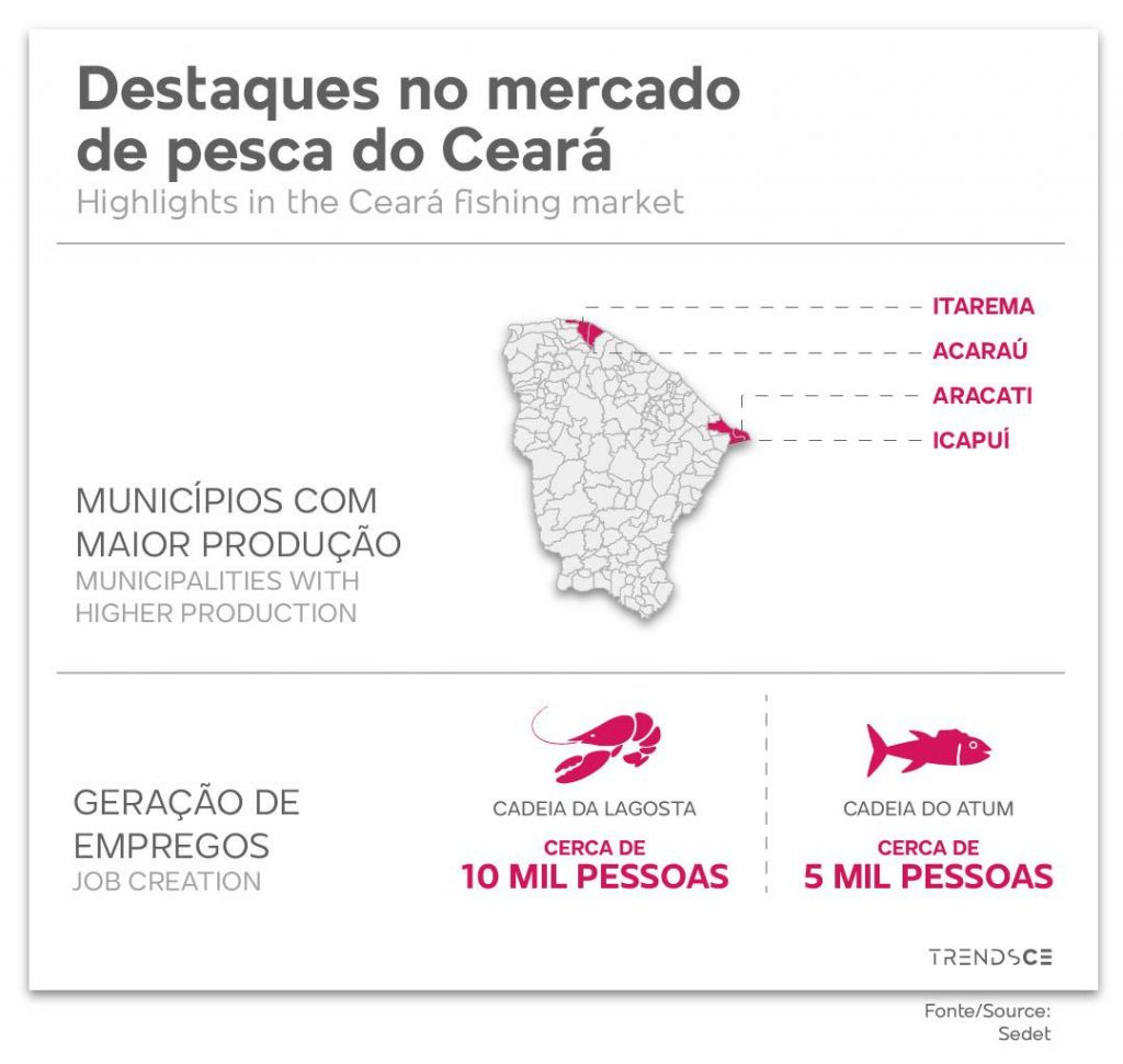 Destaques no mercado de pesca do Ceará