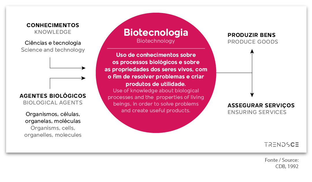 Tipos De Biotecnologia Vantagens E Desvantagens Da Biotecnologia