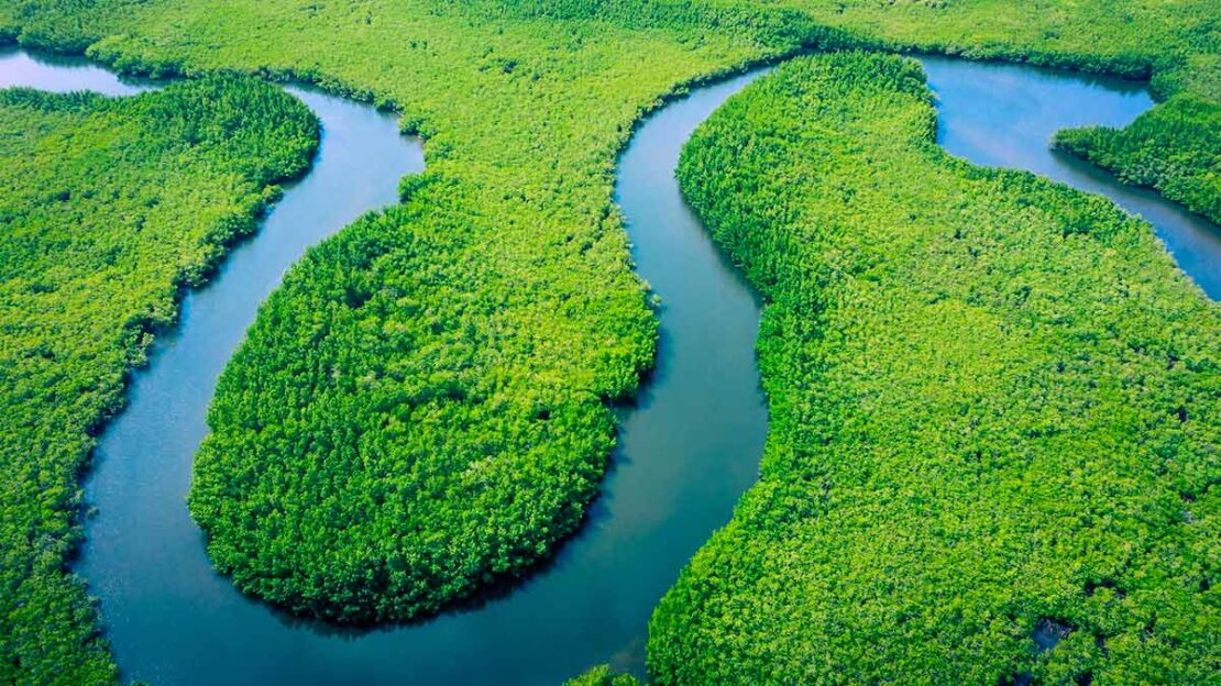 amazônia