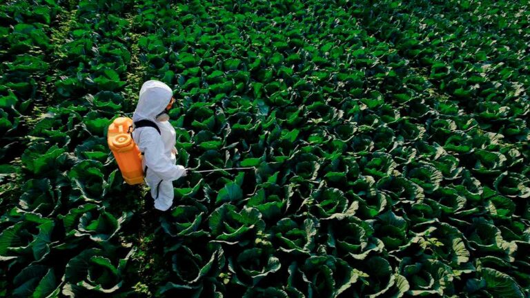 fertilizantes