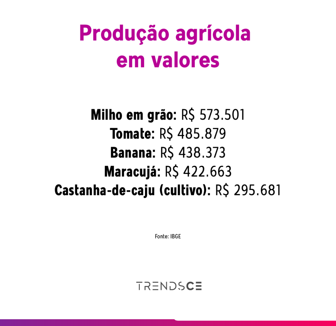 agricultura e pecuária