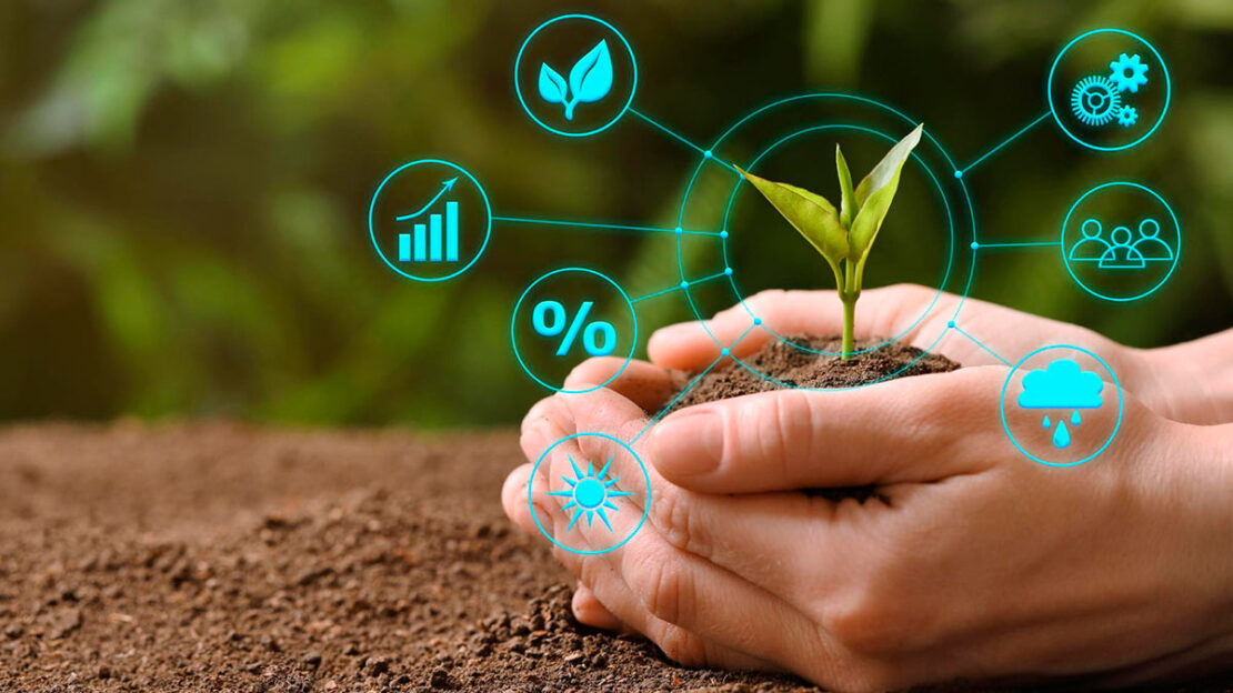 inovação e agronegócio brasileiro e expo conecta alimentos