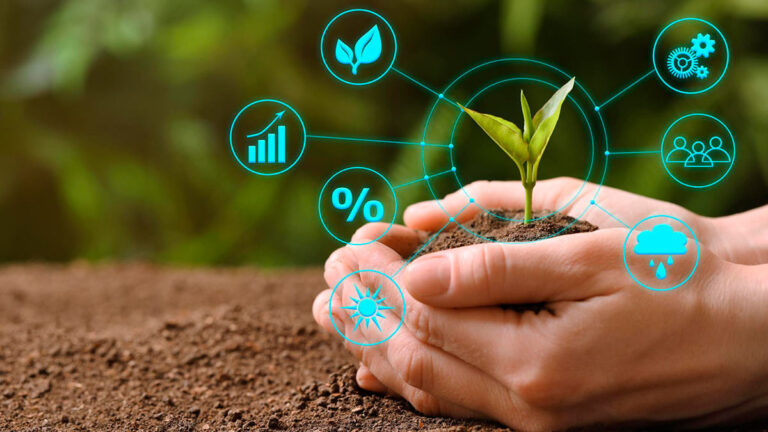inovação e agronegócio brasileiro e agricultura sustentabilidade