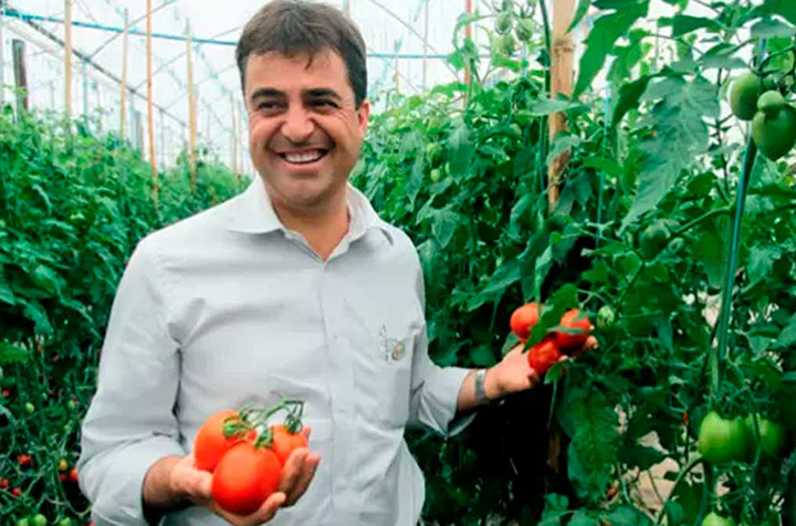 Edson Trebeschi fala sobre impacto das chuvas na safra do tomate.  