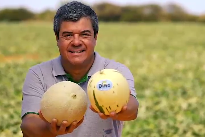 Luiz Roberto Barcelos fala sobre o impacto das chuvas nas exportações de frutas brasileiras.