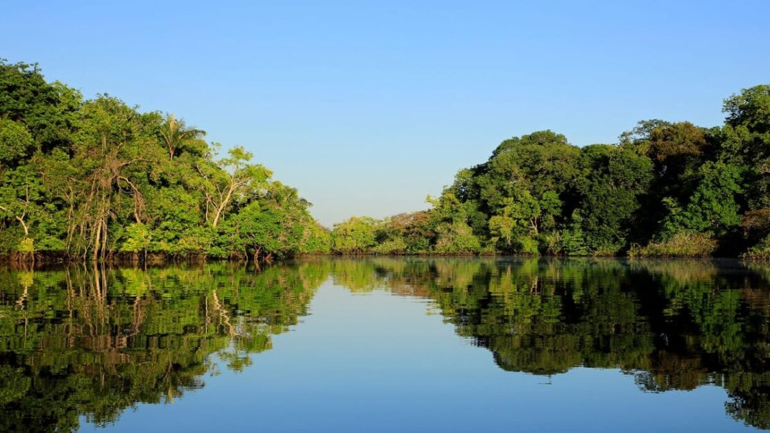 floresta amazônica