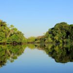 floresta amazônica