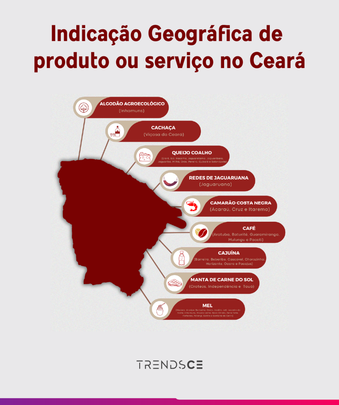 indicação geográfica de produto ou serviço no ceará