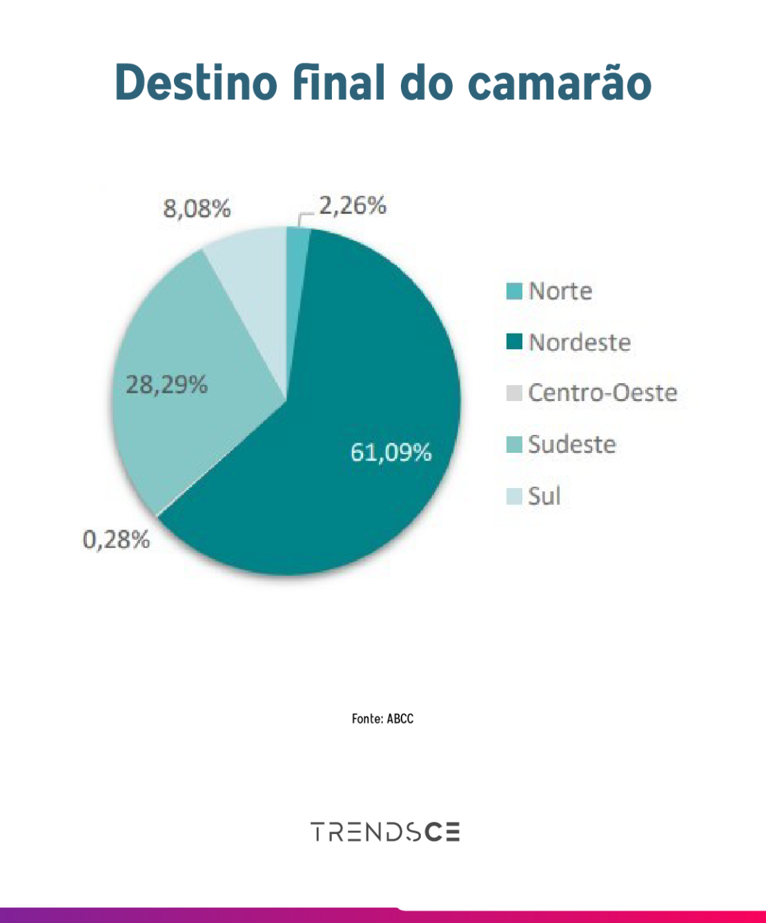 destino final do camarão