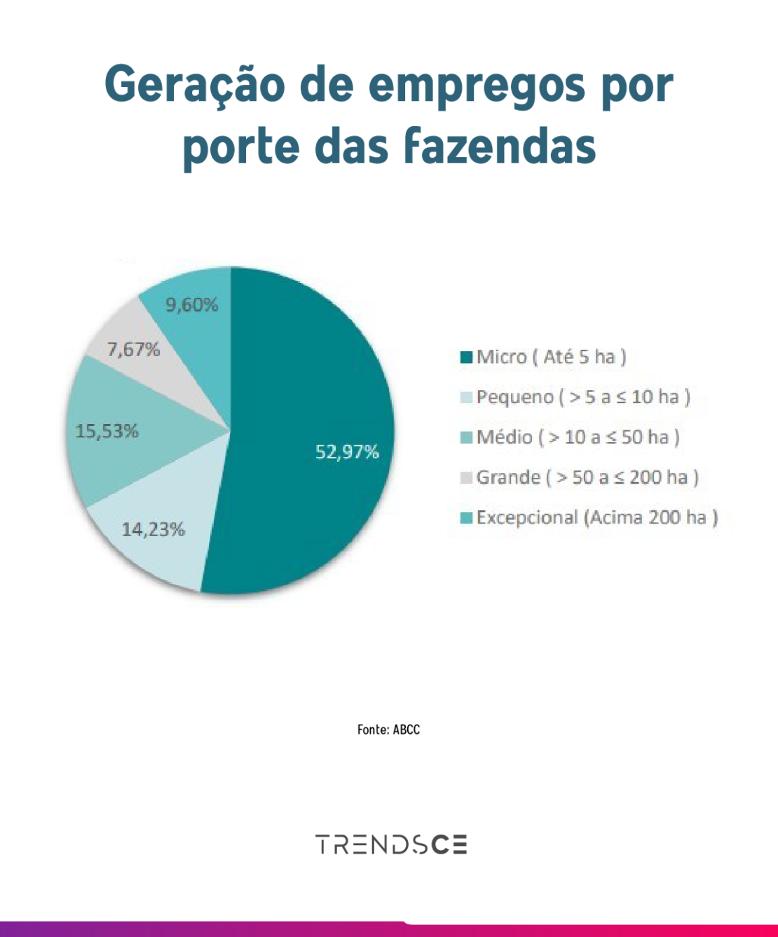 geração de empregos em fazendas de camarão