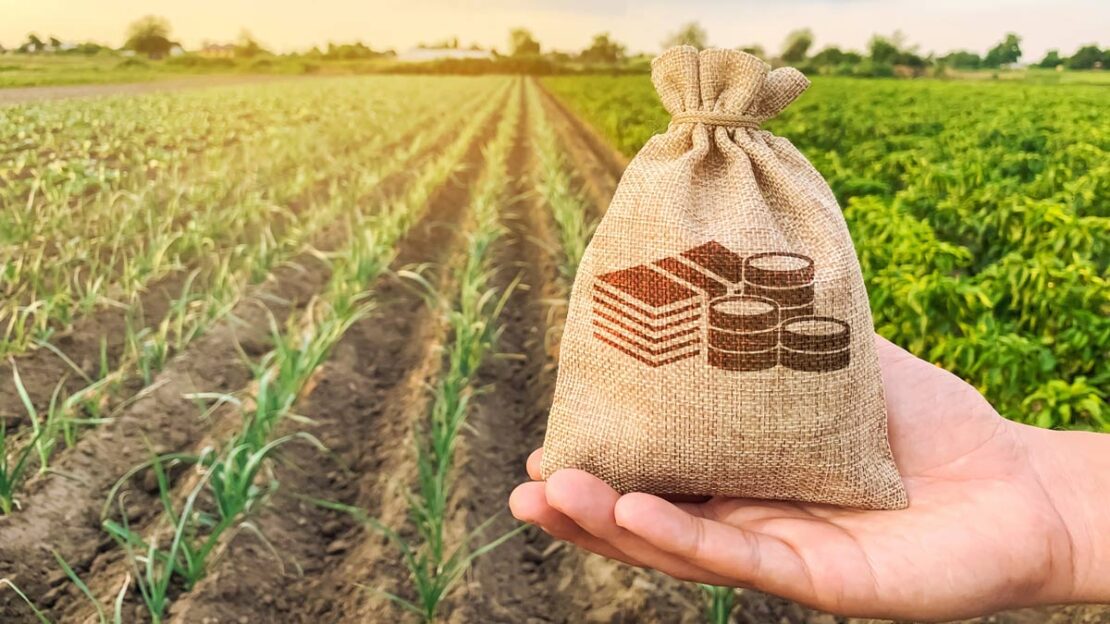 crédito rural e agronegócio