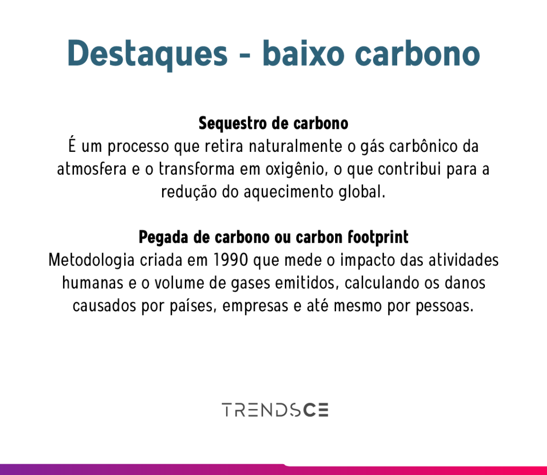 destaque - baixo carbono