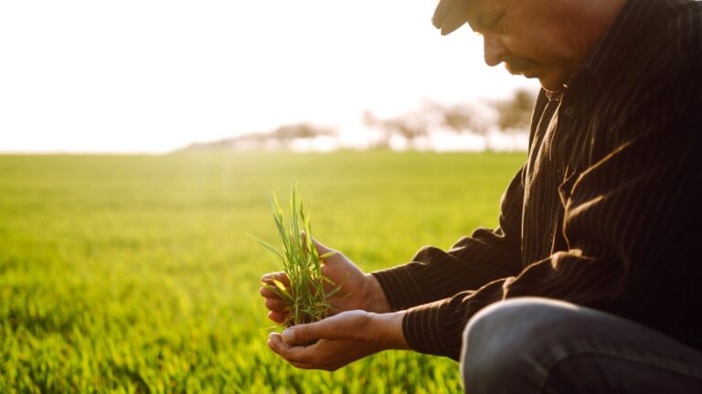 agrosetores ceará 2026