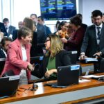 senado aprova pl do mercado de carbono