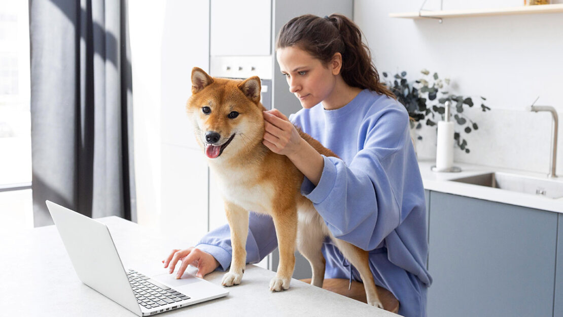 atendimento veterinário online para pets