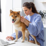 atendimento veterinário online para pets