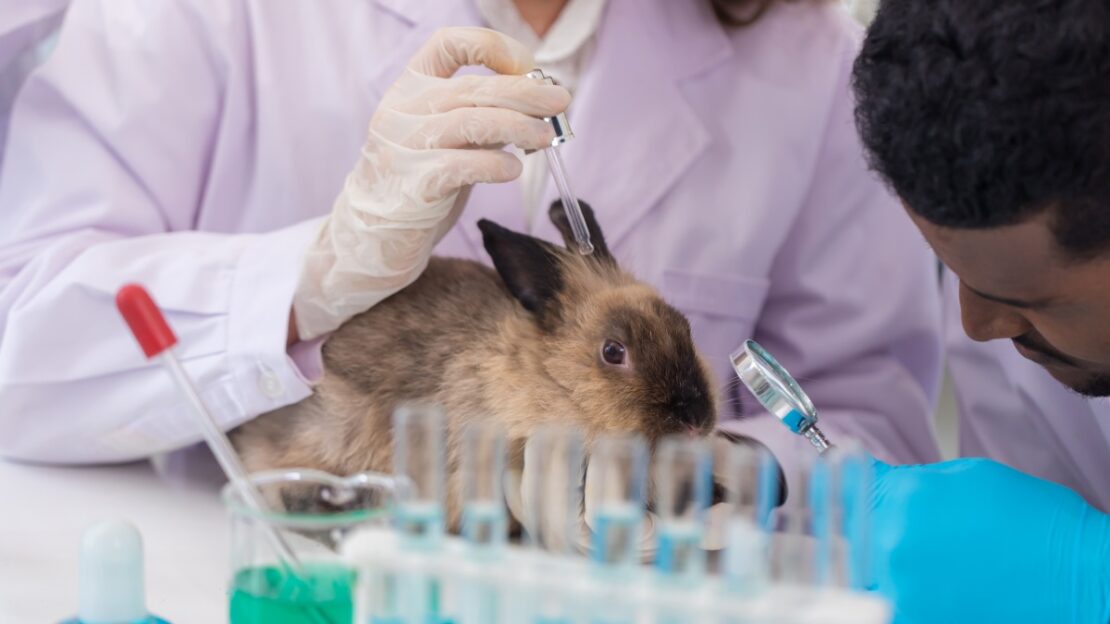 produtos testados em animais