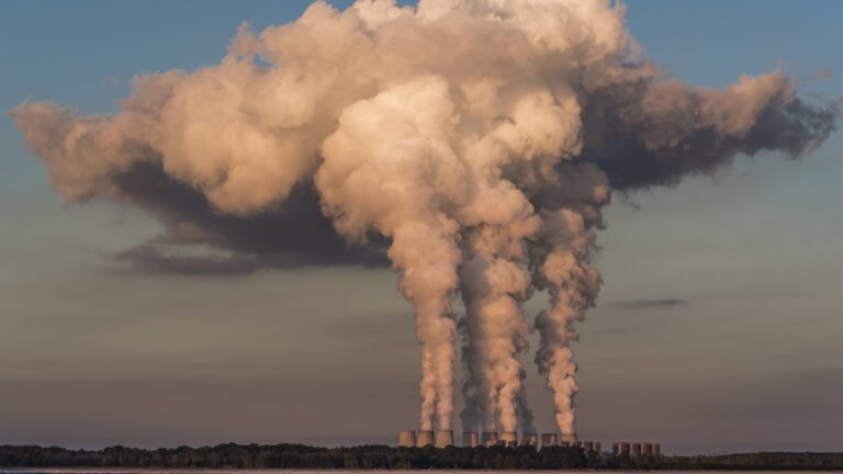 cop 28