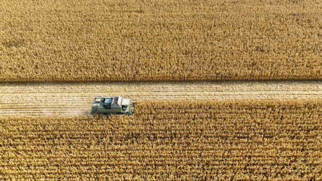 el niño e agro