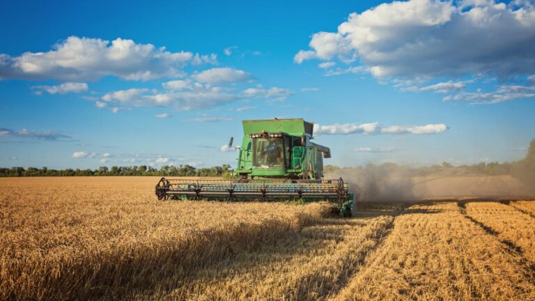 agropecuária