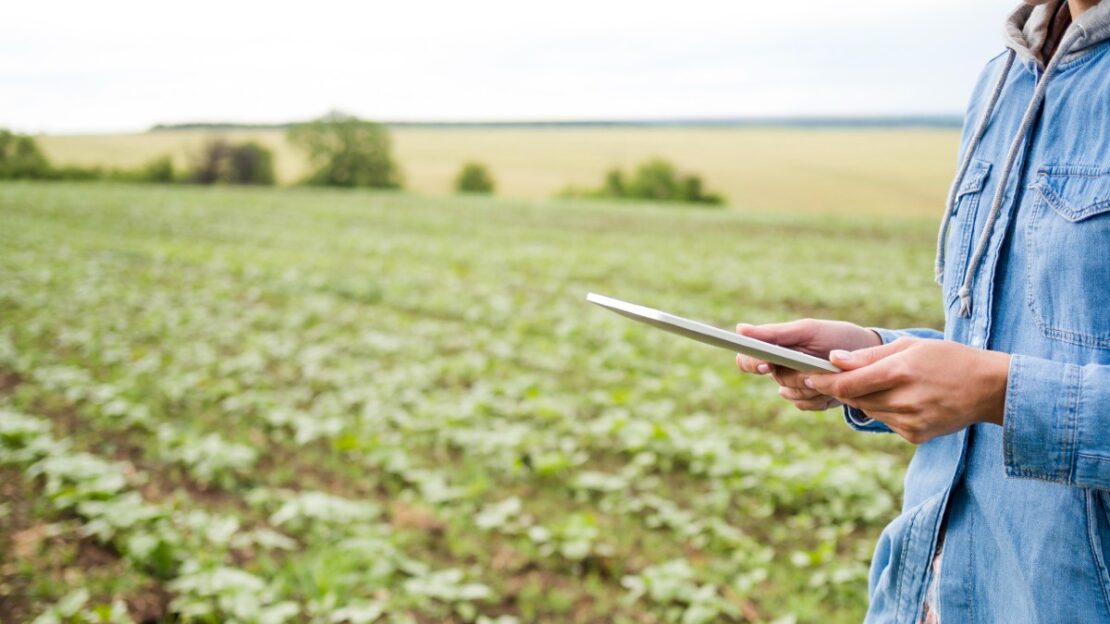 desenrola rural para produtores e renegociação