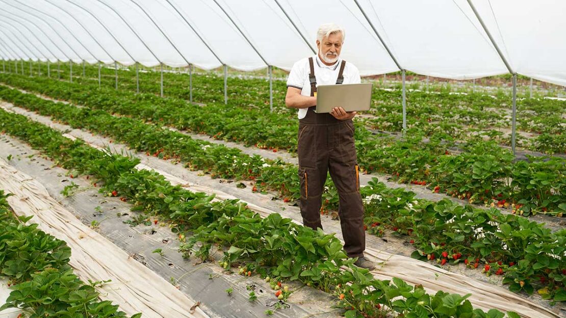 tokenização no agro e plataforma