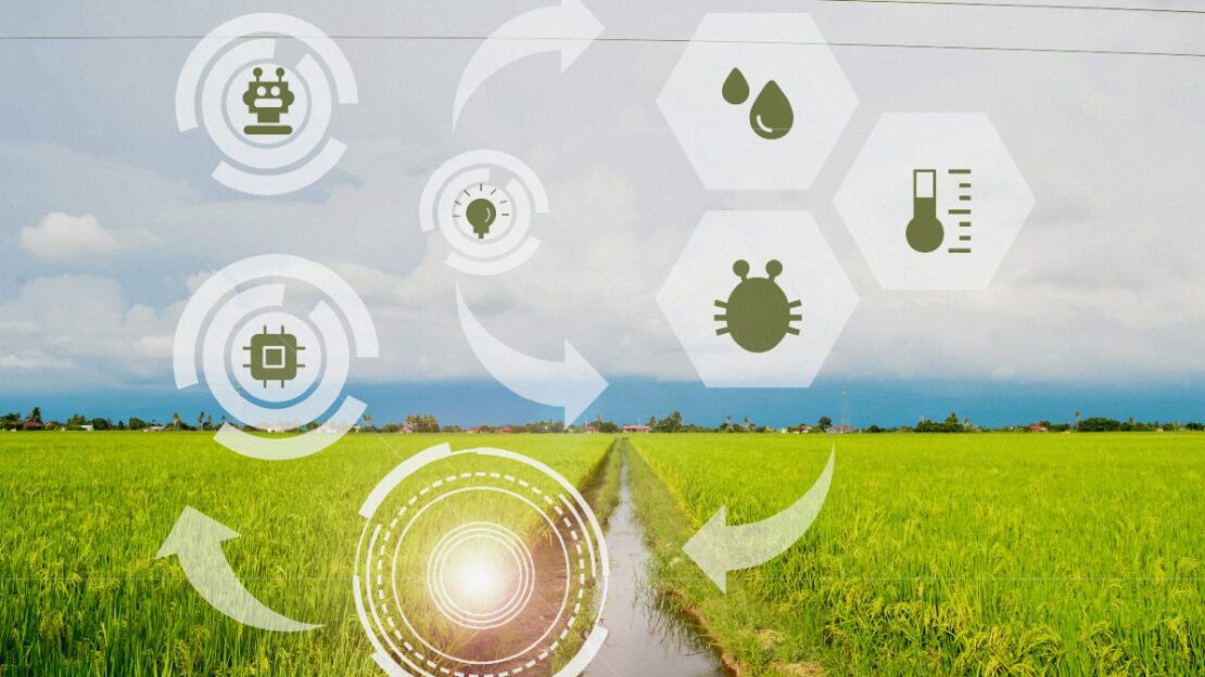 biocombustíveis e Agtechs