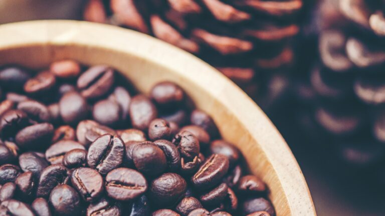 exportação de café e governo