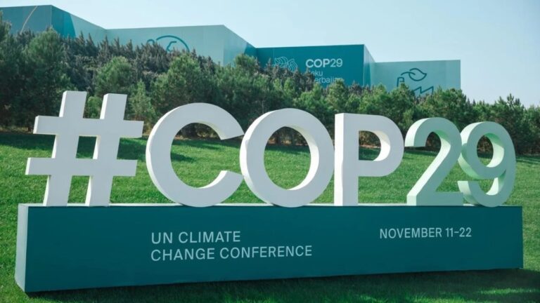 cop29 e onu