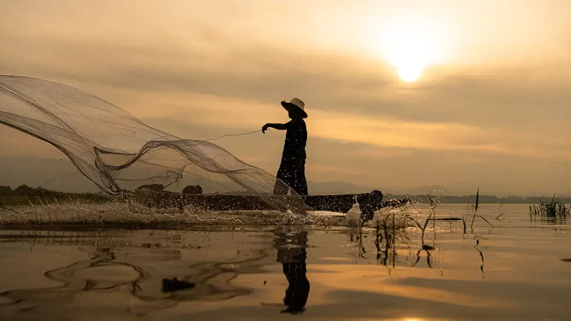 pesca e aquicultura