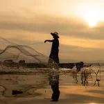 pesca e aquicultura