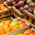 manga e tarifa trump