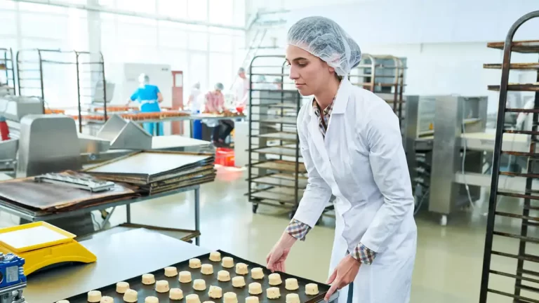 alimentos