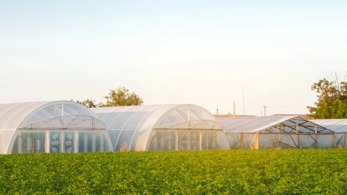 estufa de alta tecnologia e agricultura