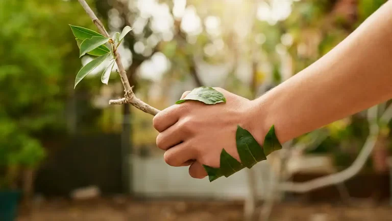 bioeconomia