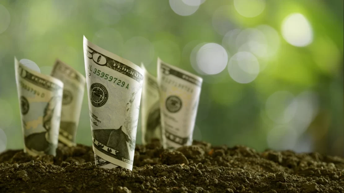 bilionários e agronegócio