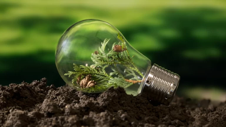 bioenergia