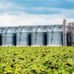 sustentabilidade na indústria