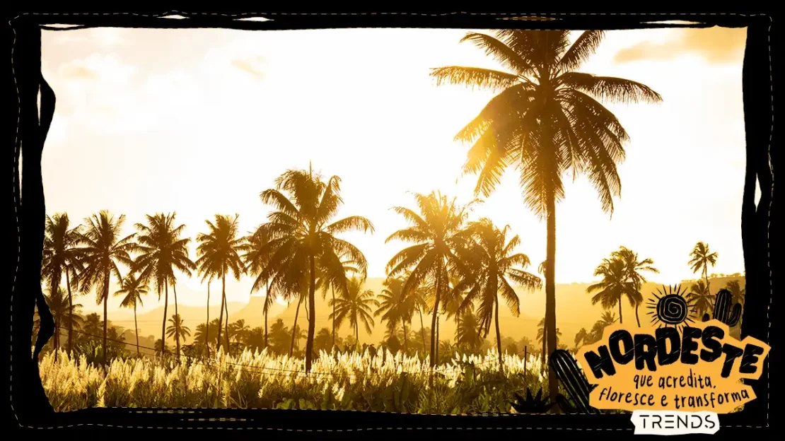 agronegócio nordestino
