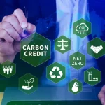 créditos de carbono