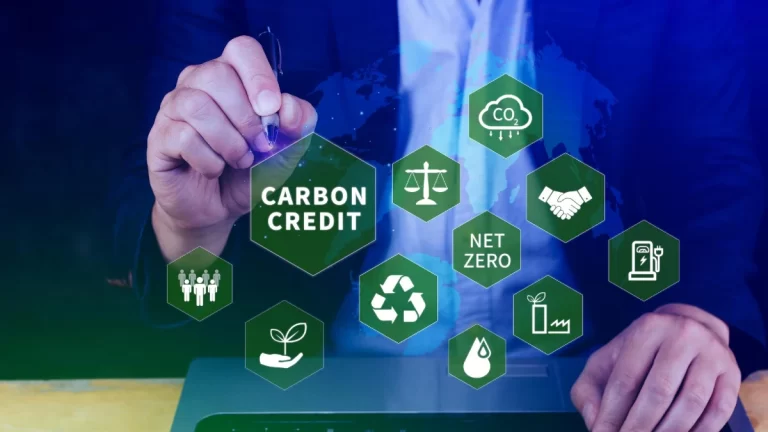 créditos de carbono