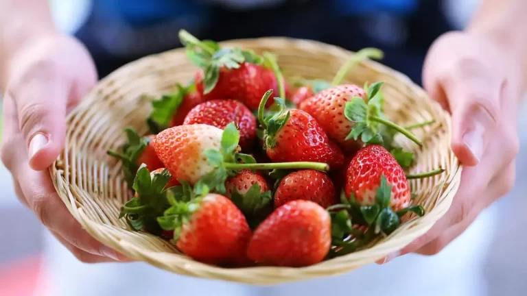 frutas
