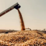 exportações de soja