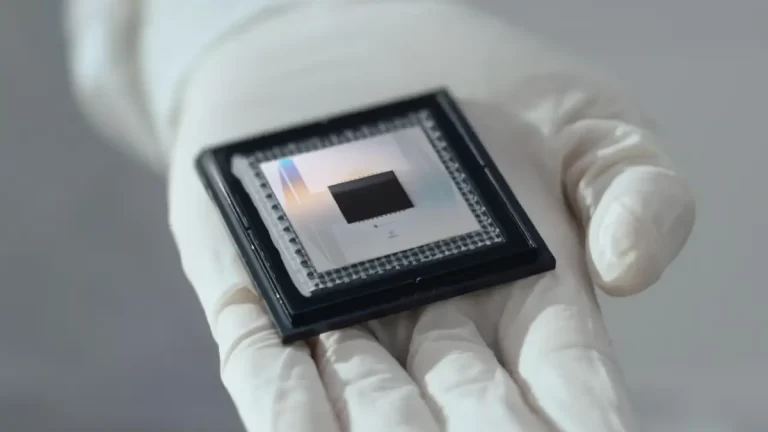 google e chip willow