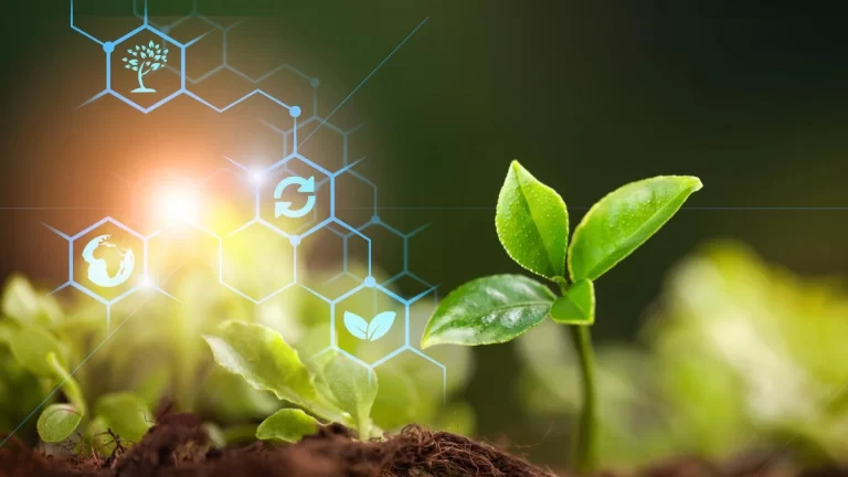 bioenergia
