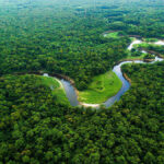 Amazônia