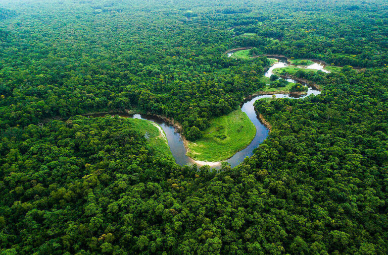 Amazônia