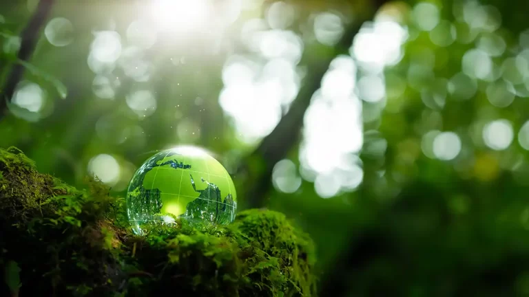 justiça climática