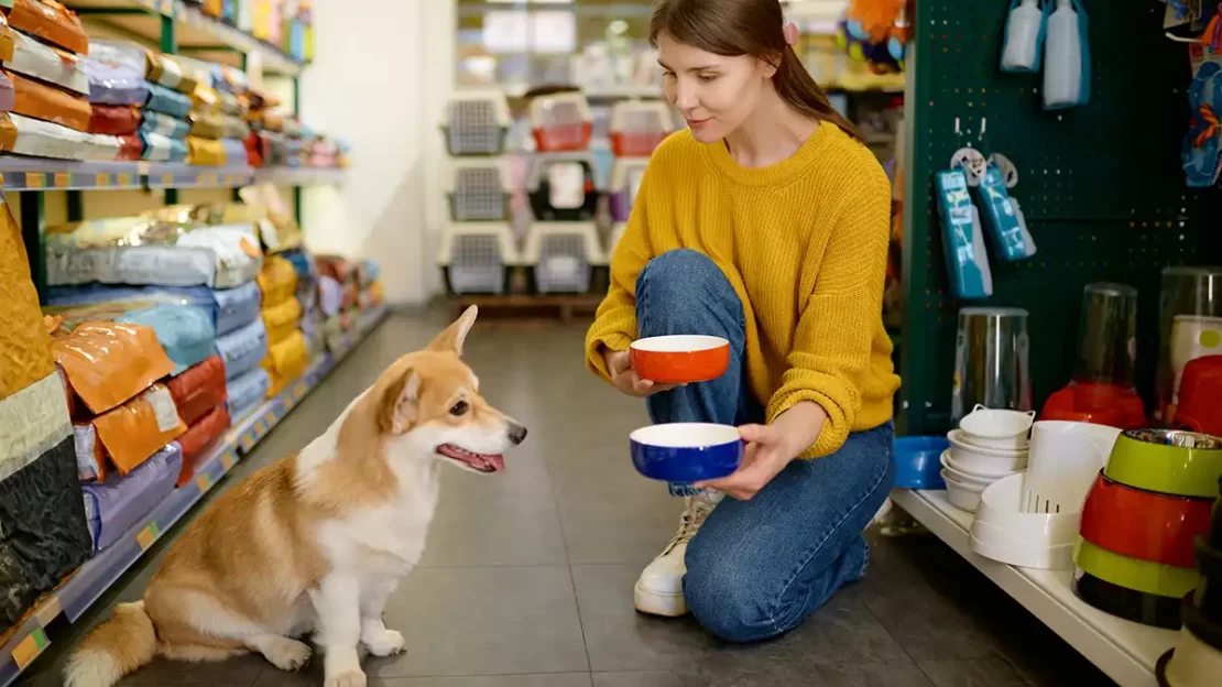 mercado pet